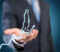 Orchestrating-Growth-With-Fractional-GCs---A-strategic-legal-partnership